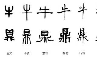汉字的演变过程有8个 汉字的演变顺序